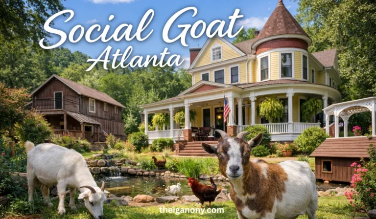 Social Goat Atlanta