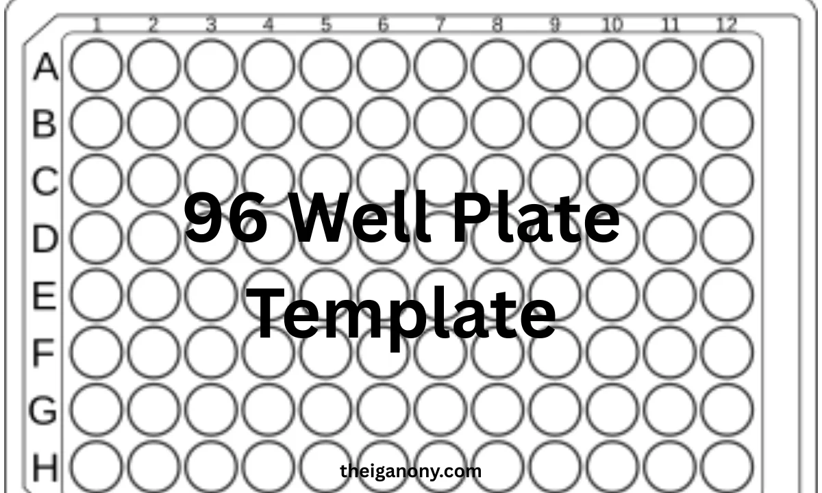 96 Well Plate Template