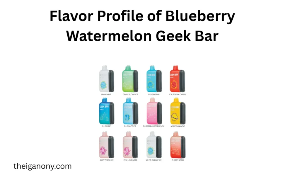 Blueberry Watermelon Geek Bar