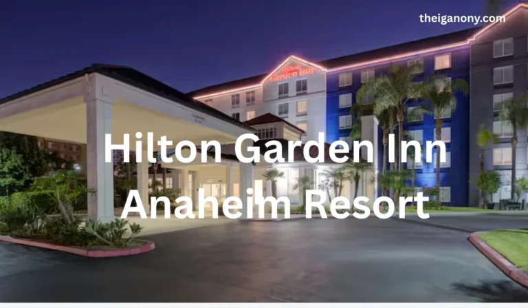 Hilton Garden Inn Anaheim Resort