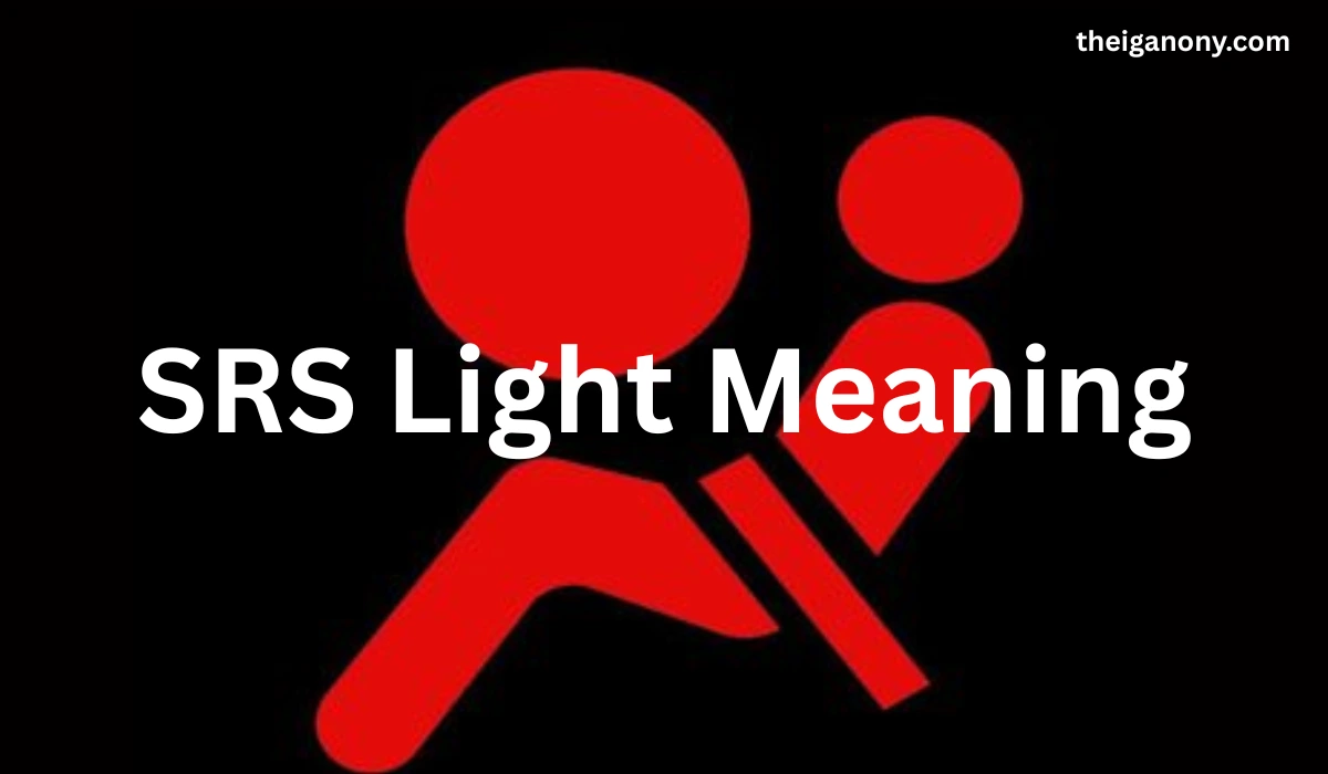 SRS Light Meaning