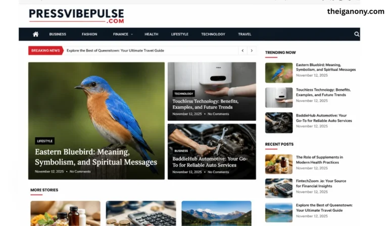 Pressvibepulse com