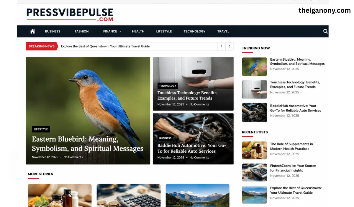 Pressvibepulse com
