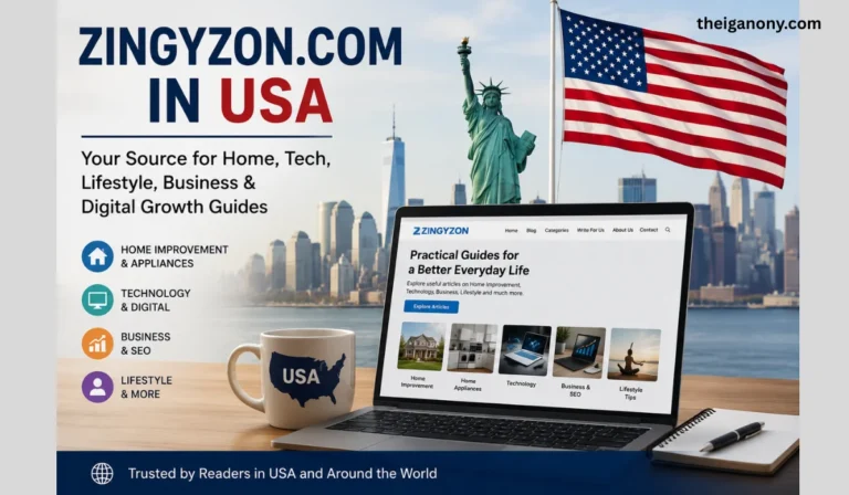 Zingyzon com in USA