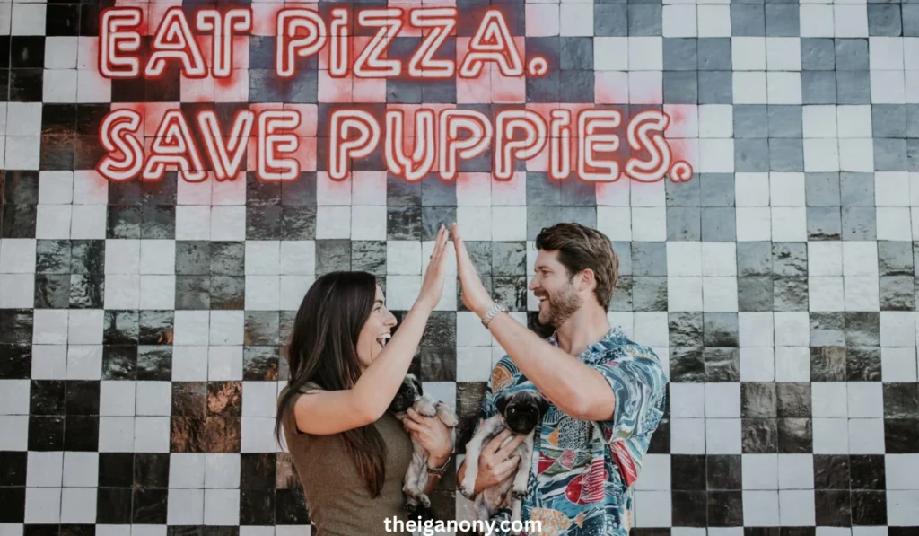 Pizza to the Rescue